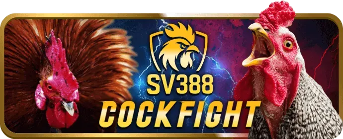 Hình ảnh minh họa quá trình thu thập và sử dụng dữ liệu an toàn tại betking app